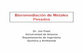 Bioremediación de Metales Pesados - …binational.pharmacy.arizona.edu/sites/binational.pharmacy.arizona... · – Bombas de iones dependientes de energía • Tipio-P ATPases (ATP)
