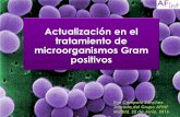 Actualización en el tratamiento de microorganismos Gram ... · - productoras de biofilm Vancomicina. LIPOGLUCOPECTIDOS: Actividad antimicrobiana (CMI medias) TEL ORI DAL VAN TEIC