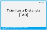 Trámites a Distancia (TAD) - Argentina.gob.ar · Una vez que confirme la adhesión del servicio se encontrará en condiciones para hacer sus trámites a distancia.