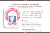Universidad Estatal de Bolívar - CSSR · Capacitar al personal de Salud y adolescentes que acuden a consulta externa sobre temas relacionado, Embarazo Precoz, Control Prenatal, Planificación