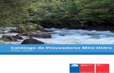 Catálogo de Proveedores Mini Hidro - dataset.cne.cldataset.cne.cl/Energia_Abierta/Estudios/Minerg/Catálogo... · Bombas como turbinas 5 kW - 1,5 MW Otra > 200 kW Servicios Ingeniería