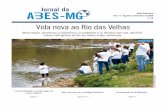 Belo Horizonte Ano 11 - Agosto a Setembro de 2008 n° 45 ... · Abes conversa com o sociólogo Rudá Ricci A revitalização do Rio Mosquito página 3 página 9 Nesta edição, abordamos