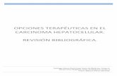 OPCIONES TERAPÉUTICAS EN EL CARCINOMA …uvadoc.uva.es/bitstream/10324/24293/1/TFG-M-M804.pdf · Criterios de selección ... El rol de la infraestadificación en el hepatocarcinoma