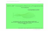 MATLAB Conceptos Básicos y Programaciónblog.espol.edu.ec/ccpg1001/files/2015/03/TUTORIAL_DE_MATLAB.pdf · MATLAB CONCEPTOS BÁSICOS Y PROGRAMACIÓN ICM ESPOL MATLAB® Conceptos