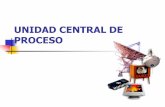 UNIDAD CENTRAL DE PROCESO - AULA VIRTUALvirtual.usalesiana.edu.bo/web/conte/archivos/3902.pdf · Microprogramados (no microprogramables)