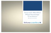 Social Media Marketing: Twitter - bluecaribu.com · Twitterpág. 8 | Facebook Listas: Twitter permite agregar hasta 500 usuarios en listas públicas o privadas. Con las listas se