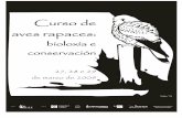 “Curso de aves rapaces: bioloxía e conservación” .“Curso de aves rapaces: bioloxía e conservación”