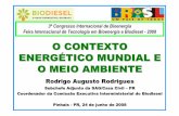 O CONTEXTO ENERG ÉTICO MUNDIAL E O MEIO AMBIENTE · 2013-04-15 · O CONTEXTO ENERG ÉTICO MUNDIAL E ... Países desenvolvidos enfatizam o ambiental e social. Brasil enfatiza o econômico: