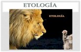 ETOLOGÍA - zoologiageneral.com.ar · COMPORTAMIENTO Y GENÉTICA •El comportamiento tiene sus raíces en el programa genético de cada individuo, hasta hace algunos