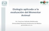 Etología aplicada a la evaluación del Bienestar Animal · Etología aplicada a la evaluación del Bienestar Animal Dr. Francisco Galindo Maldonado Universidad Nacional Autónoma