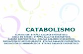 CATABOLISMO - PARAMERA | BLOG DEL PROFESOR DE .catabolismo glucolisis: etapas balance energ‰tico
