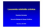 Francisco Cervantes Curso de Citología de Sangre Periférica - Aula … · 2013-05-07 · LMC: citología de médula ósea (II) LMC: biopsia de médula ósea