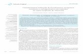 Caracterización molecular de Pseudomonas aeruginosa ... · 616 Artículo Original Microbiología de agarosa al 1,5% (Promega®), teñidos con bromuro de etidio (Sigma®) y fotografiados