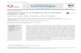 Inmunidad celular en la patogénesis de la cardiopatía ... · 570 J.I. Klahr et al. cardiopatías por otras etiologías. Por lo tanto, los pacientes con cardiopatía chagásica crónica