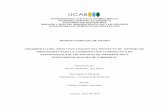UNIVERSIDAD CATOLICA ANDRES BELLO …biblioteca2.ucab.edu.ve/anexos/biblioteca/marc/texto/AAS8030.pdf · 10. Estructura Organizativa de la Coordinación de ATIT 11. Sistema de Indicadores