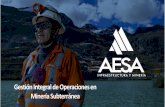 Gestión Integral de Operaciones en Minería Subterránea³n-integral-en-operaciones-mineras... · Arcos Noruegos Shotcrete Relleno Hidraúlico SERVICIOS COMPLEMENTARIOS Gestión