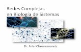 Redes Complejas en Biología de Sistemas - materias.df.uba.armaterias.df.uba.ar/IRCBSa2016c2/files/2016/08/01_SistemasComplejos.pdf · Escala molecular Escala organismo 9 Escala celular