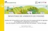 MINISTERIO DE AMBIENTE DE PANAMÁ - Ledslac ...· MINISTERIO DE AMBIENTE DE PANAMÁ . Ing. Rosilena