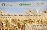 Evolución de la producción de granos en Argentina · ÍNDICE Evolución del Área Agrícola y la Producción en Argentina Nuevo escenario –Campaña 2016/17 Expansión del área