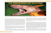 LITORAL B ODIVERSIDADE o ñ a M o ñ o T OS TIBURÓNS DE …adega.gal/media/documentos/0tiburons_def.pdf · DIVERSIDADE DE ESPECIES En Galicia temos rexistradas 48 especies de tiburóns,