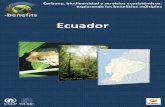 Ecuador - biotrade.org docs/Ecuador_lr... · principalmente por la pérdida y degradación de bosques tropicales, contribuyen un 617% de todas las emisiones antropogénicas de gases