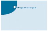 F itopatología - sintesis.com · Consulte nuestra página web:  En ella encontrará el catálogo completo y comentado