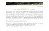 Aves de Quebrada Valencia - Identificando sitios de parada ... · Recomendaciones para el manejo de la tierra en beneficio de las aves Mantener y proteger la cobertura de bosque actual