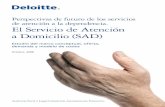 El Servicio de Atención a Domicilio (SAD)envejecimiento.csic.es/documentos/documentos/deloitte-sad-01.pdf · SAD, tiene como objetivo principal ofrecer una visión de la situación