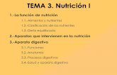 TEMA 3. Nutrición I - contenidosbio.pbworks.comcontenidosbio.pbworks.com/w/file/fetch/104897488/3.-Nutricin I.pdf · acumula en la vesícula biliar para luego liberarse al duodeno.