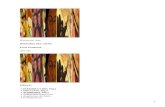 Historia del Arte. HISTORIA DEL ARTE. 30/11/07.iesdi.org/BibliotecaPublica/Arte/Hitoria del Arte Ernst Gombrich.pdf · He elegido para hacer el informe la parte que abarca los siglos