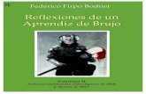 Federico Firpo Bodner - Reflexiones de un Aprendiz de Brujoaprendizdebrujo.net/wp-content/uploads/Reflexiones-de-un-Aprendiz... · En mi casa no te morís, carajo ... arcanos secretos