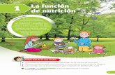 1 de nutrición La función - sm-argentina.comsm-argentina.com/wp-content/uploads/2019/novedades/189626... · • La función de relación y control, por la cual podemos ... Estructura