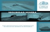 SEGURIDAD MINERA - sernageomin.cl · página | 3 depto. seguridad minera, año 2010 guia metodolÓgica de seguridad para presentaciÓn de proyectos mineros de botaderos. servicio