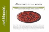 microbis en La boira - publicacions.iec.cat · A càrrec de la Secció de Microbiologia de la Societat Catalana de Biologia Omnis cellula núm. 12, març del 2007. Per entendre què