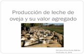 Producción de leche de oveja y su valor agregadospo.uno.org.mx/wp-content/.../jprm_producciondelecheyvaloragregado.pdf · En Querétaro se forma la primera S.A. de ovejas lecheras