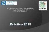 X OLIMPIADA DE BIOLOXÍA: FASE GALEGAolimpiadadebiologia.edu.es/wp-content/uploads/2015/01/Práctico... · Indicar a función do seguinte fenómeno dos pinos . 9. Indicar a función