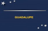 Guadalupepastoralurbanamx.weebly.com/uploads/3/8/7/6/38763445/guadalupe.pdf · El dios que esperaban, Quetzalcoatl, anunciado en el calendario azteca, no llegó. El signo de Quetzalcoatl