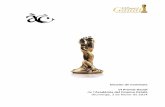 VI Premis Gaudí de l’Acadèmia del Cinema Català Diumenge ... · EL CUERPO, direcció d’Oriol Paulo, guió d’Oriol Paulo i Lara Sendim, i produïda per Rodar y Rodar Cine,