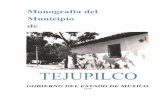 TEJUPILCO - monografiasmexiquenses.mxmonografiasmexiquenses.mx/kiosco/pdf/Tejupilco_1975.pdf · TEJUPILCO-MONOGRAFIA 1 1 ... Estado del 21 de julio de 1851 ... Tejupi Ico fue la residencia