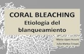 ¿Qué es el bleaching? - Introduction Bleaching.pdf · - Estudio que presenta futuros escenarios para los arrecifes de coral cuyas consecuencias tendrán un impacto directo en todo