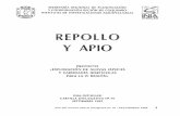 REPOLLO Y APIO - biblioteca.inia.clbiblioteca.inia.cl/medios/biblioteca/seriesinia/NR18335.pdf · reservarse para una fecha posterior, debido a que el cultivo de apio es de lento