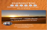 ENERSÍNTESIS - enersintesis.comenersintesis.com/wp-content/uploads/2018/07/ENERSÍNTESIS-NIVEL-I... · GEOMETRIA SAGRADA • Introducción y desarrollo. • Fibonacci • Puntos