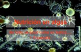 Nutrici³n en algas - Departamento de Biodiversidad y ... Tipos de nutrici³n Tipo de nutrici³n