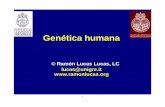 © Ramón Lucas Lucas, LC lucas@unigre.it Genetica humana... · P Gran parte de las enfermedades humanas más frecuentes son multifactoriales. Entre ellas: diabetes, enfermedades
