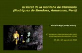 El karst de la montaña de Chirimoto (Rodríguez de Mendoza ...cuevasdelperu.org/Conferencias/Chachapoyas2018/Bigot_Chirimoto.pdf · 2 –Ubicación El macizo de Chirimoto está ubicado