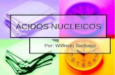 ÁCIDOS NUCLEICOS - angelpaganbiologia.files.wordpress.com · Tipos de ARN ARN mensajero o ... cambio del “lenguaje”de ácidos nucleicos (sucesión de bases) al lenguaje de proteínas