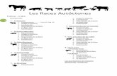 Les Races Autóctones - Cartafueyos de El Ventolín · En resumen, nuestras razas autóctonas son aquellos seres vivos propios de nuestro ecosistema – de nuestra tierra- que presentan