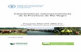 Características macroeconómicas de la Provincia de Río ... · potencial agrícola de la Provincia de Rio Negro – “Características macroeconómicas” 3 SÍMBOLOS Y ABREVIATURAS