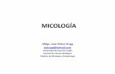 MICOLOGÍA - micrount | Just another WordPress.com site · MICOLOGÍA Mblgo. Juan Wilson Krugg jwkrugg@hotmail.com Universidad Nacional de Trujillo Facultad de Ciencias Biológicas