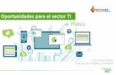 Oportunidades para el sector TI en Méxicoservicios.procomer.go.cr/aplicacion/civ/documentos/Oportunidades... · De los casi $68.000 M generados en ventas en 2014 cerca del 50% correspondió